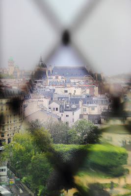 Parigi dalle vetrate di Notre Dame