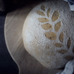 Pane fatto in casa con semi di nigella e papavero